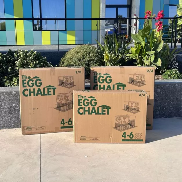 Poulailler Mobile EGG COLLECTION GAUN