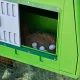 Poulailler Mobile EGG COLLECTION GAUN