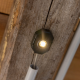 Éclairage LED SmartCoop Kerbl