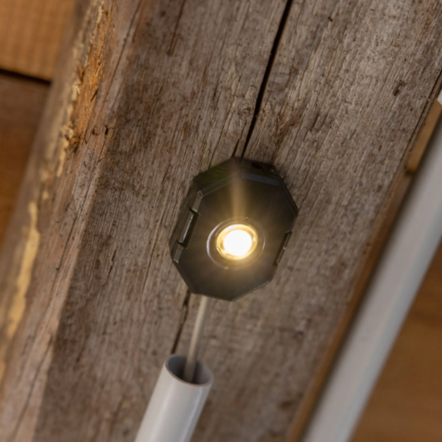 Éclairage LED SmartCoop Kerbl