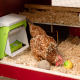 Doseur automatique SmartCoop