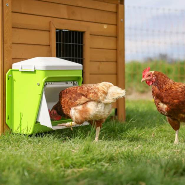 Mangeoire anti-nuisibles SmartCoop Kerbl 7,5 kg