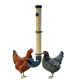 Mangeoires anti-nuisibles pour poules