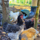 Mangeoires anti-nuisibles pour poules