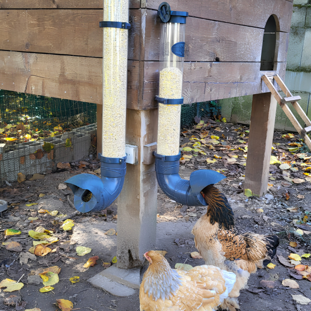 Mangeoires anti-nuisibles pour poules