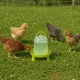 Abreuvoir siphoïde en PVC vert avec pieds pour poules 
