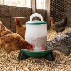 Mangeoire pour poules Olba vert et blanc avec pieds – 3 kg ou 6 kg