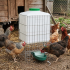 Abreuvoir Gaun avec réserve : Capacit&eacute; de votre abreuvoir:20 litres