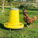 Mangeoire à trémie en plastique sur pieds pour poules