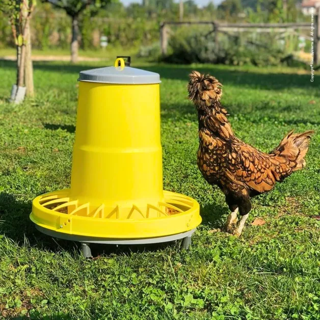Mangeoire à trémie en plastique sur pieds pour poules