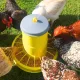 Mangeoire à trémie en plastique sur pieds pour poules