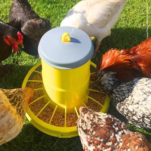 Mangeoire à trémie en plastique sur pieds pour poules