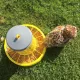 Mangeoire à trémie en plastique sur pieds pour poules