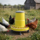 Mangeoire à trémie en plastique sur pieds pour poules
