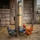 Mangeoires anti-nuisibles pour poules