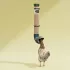 Mangeoire suspendue anti-nuisibles et anti-gaspillage pour poules : Capacit&eacute;:5 KG