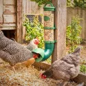 Mangeoire suspendue anti-nuisibles et anti-gaspillage pour poules