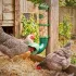 Mangeoire suspendue anti-nuisibles et anti-gaspillage pour poules : Capacit&eacute;:3 KG