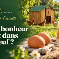 Du jardin à l’assiette : et si on regardait les œufs autrement ?