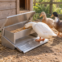 Mangeoire à pédale anti-nuisibles pour canards