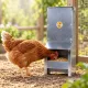 Mangeoire trémie anti gaspillage chick’a
