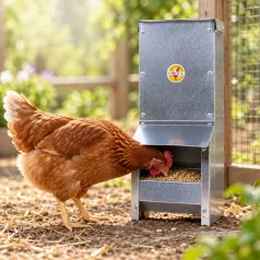 Mangeoire trémie anti gaspillage chick’a