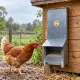 Mangeoire trémie anti gaspillage chick’a