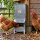 Mangeoire trémie anti gaspillage chick’a