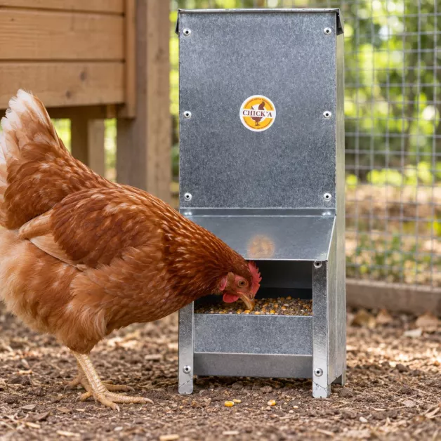 Mangeoire trémie anti gaspillage chick’a
