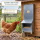 Mangeoire trémie anti gaspillage chick’a