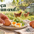 Pourquoi un simple œuf a-t-il autant à nous offrir ?