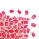 Poison pâte Nora Pasta 25 – 3kg ou 15x10gr