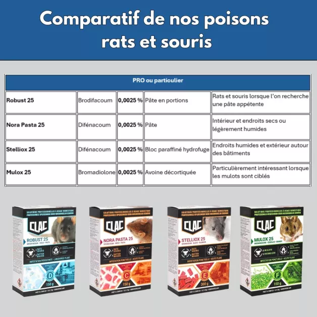 Poison pâte Robust 25 – 3kg ou 5x10gr