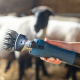 Tondeuse sans fil FarmClipper pour ovins