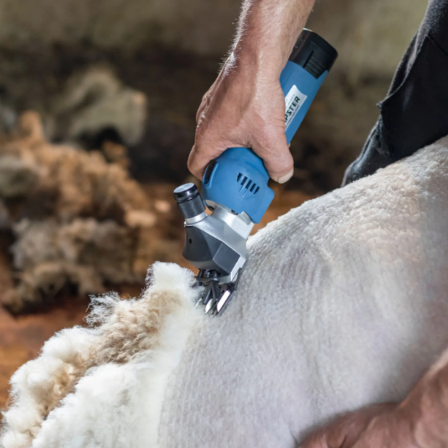 Tondeuse sans fil FarmClipper pour ovins