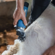 Tondeuse sans fil FarmClipper pour ovins