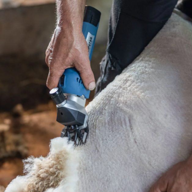 Tondeuse sans fil FarmClipper pour ovins