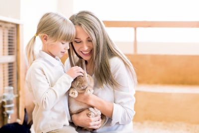 Hygiène et soin du lapin domestique