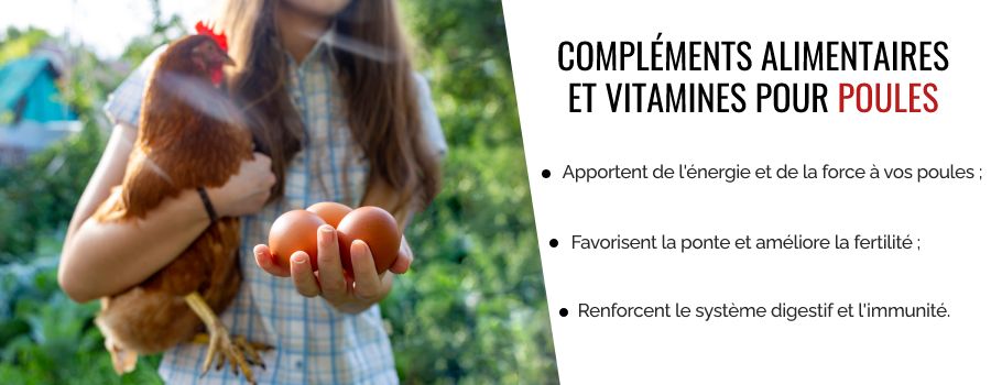 Compléments alimentaires pour poules