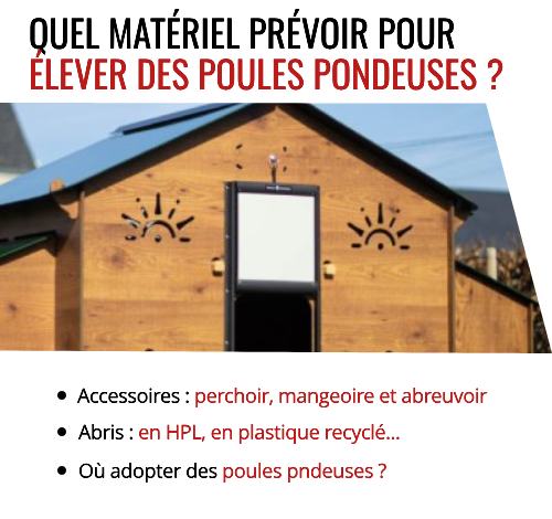 Matériel pour adopter des poules pondeuses