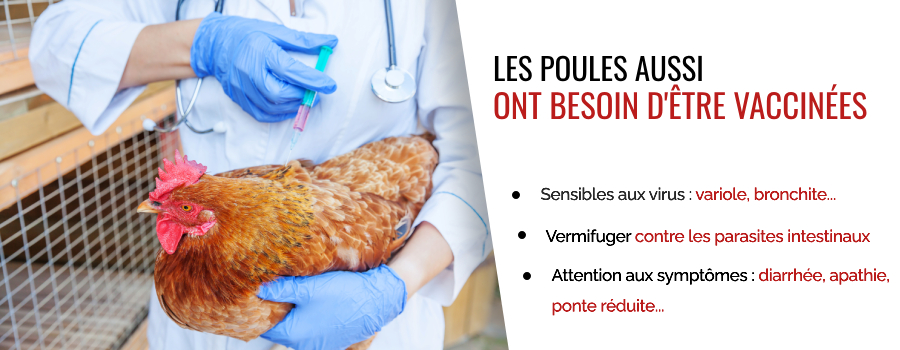 Les traitements médicaux pour vos poules