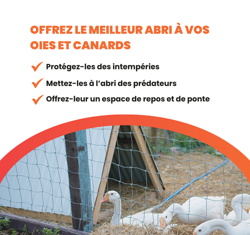 Comment choisir un abri pour des canards et des oies ?