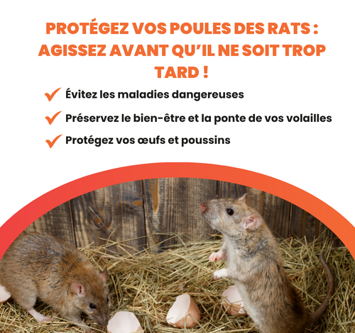 Raticides proposés par le Roi de la Poule