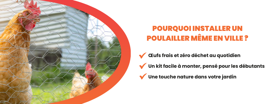 Poulailler en ville