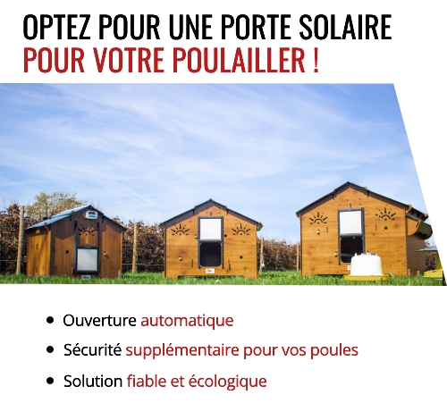 Découvrez les portes solaires pour votre poulailler