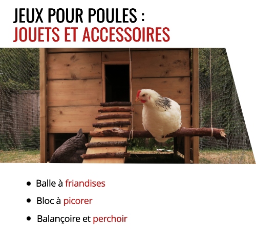 Jouets pour divertir les poules