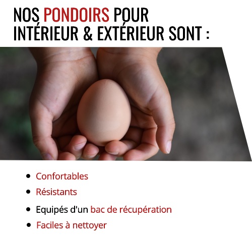 Œufs dans des mains d'enfant