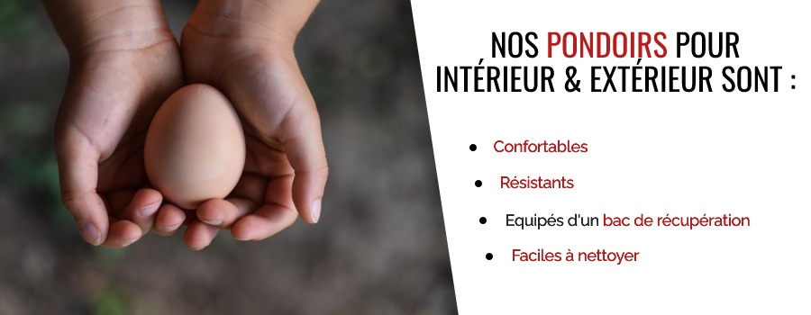 Mains dans lesquelles il y a un œuf