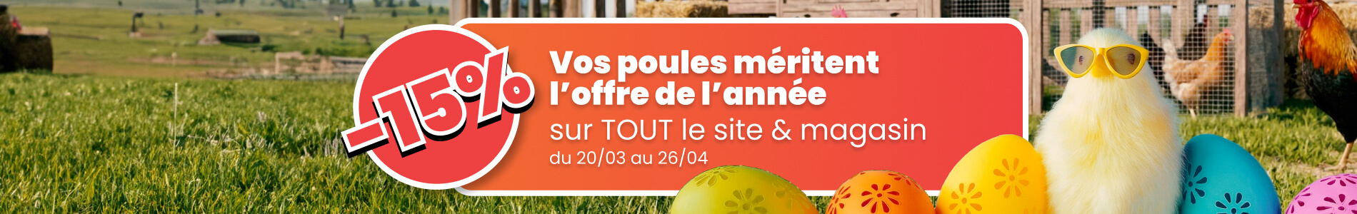 Profitez de -15% exceptionnel sur tout notre catalogue