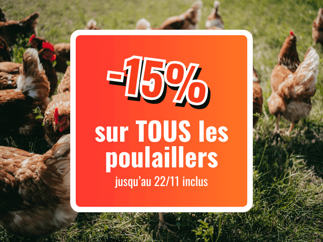 Profitez de -15% sur tout notre catalogue